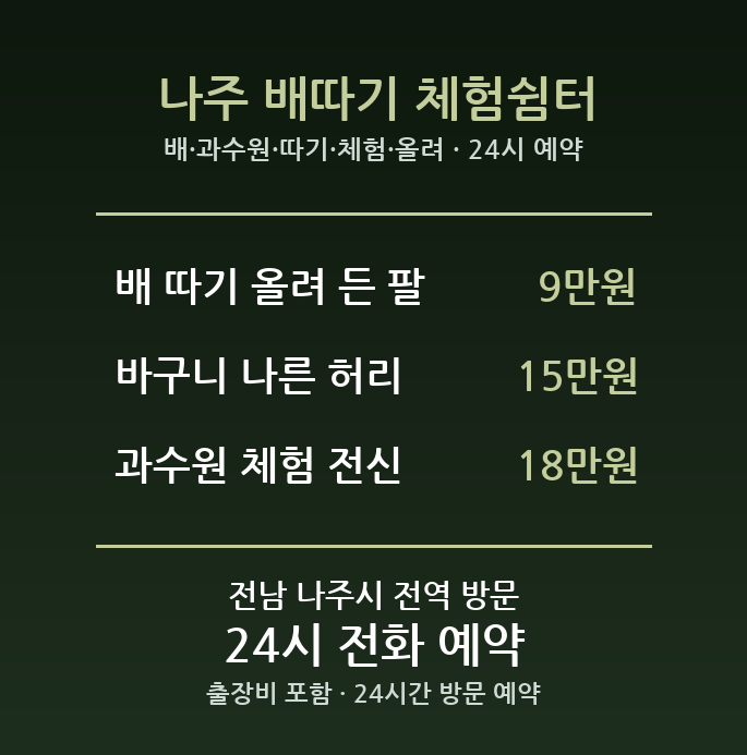 나주 출장마사지 - 배 과수원 따기 체험 올려 든 팔 방문 홈케어