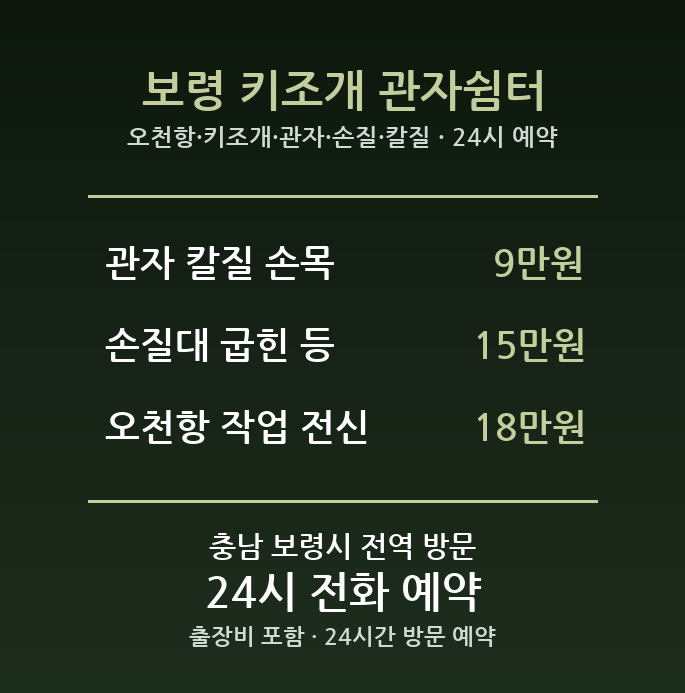 보령 출장마사지 - 오천항 키조개 관자 손질 칼질 손목 방문 홈케어